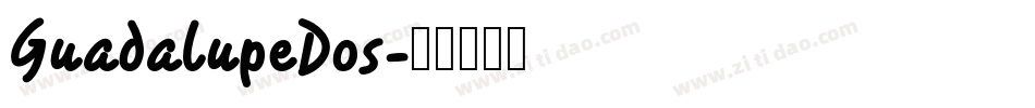 GuadalupeDos字体转换