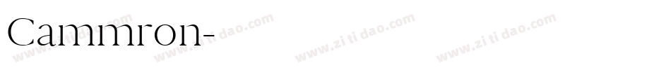 Cammron字体转换