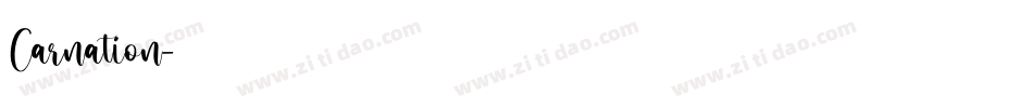 Carnation字体转换
