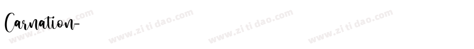 Carnation字体转换