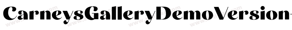 CarneysGalleryDemoVersion-2Ov0o字体转换