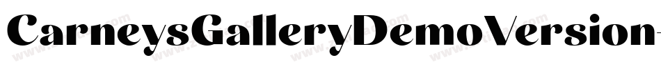 CarneysGalleryDemoVersion-2Ov0o字体转换