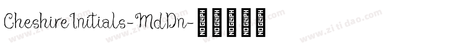 CheshireInitials-MdDn字体转换