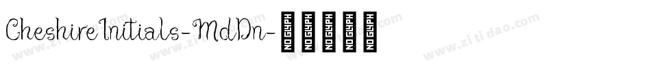 CheshireInitials-MdDn字体转换