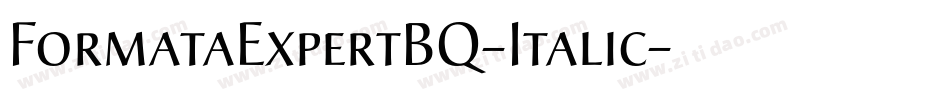 FormataExpertBQ-Italic字体转换