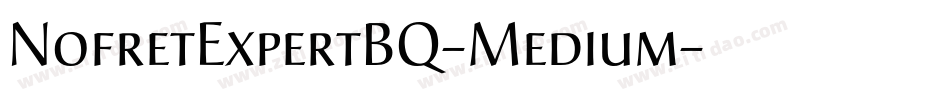 NofretExpertBQ-Medium字体转换