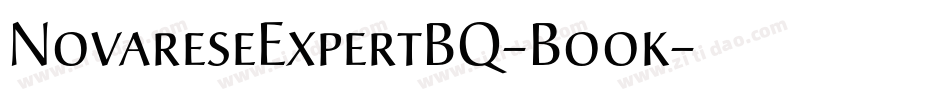 NovareseExpertBQ-Book字体转换