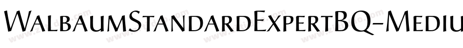 WalbaumStandardExpertBQ-Medium字体转换