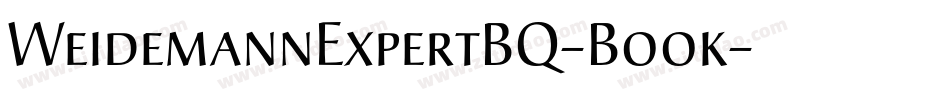 WeidemannExpertBQ-Book字体转换