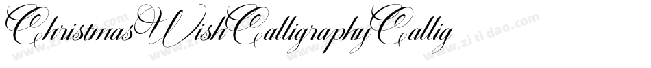 ChristmasWishCalligraphyCalligraphy-yKzZ字体转换