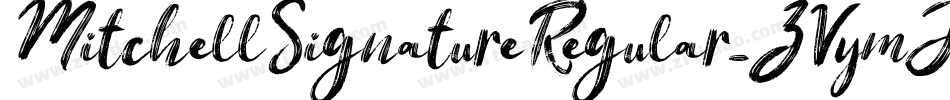 MitchellSignatureRegular-ZVymJ字体转换