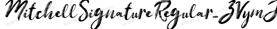 MitchellSignatureRegular-ZVymJ字体转换