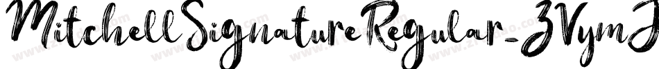 MitchellSignatureRegular-ZVymJ字体转换