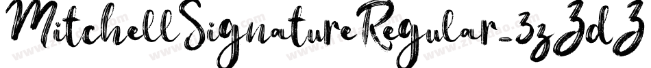 MitchellSignatureRegular-3zZdZ字体转换