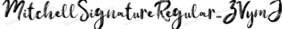 MitchellSignatureRegular-ZVymJ字体转换