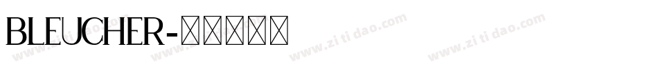 BLEUCHER字体转换
