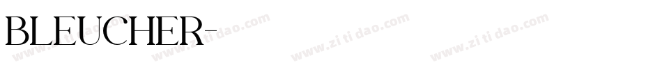 BLEUCHER字体转换