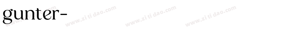 gunter字体转换