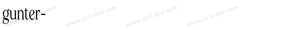 gunter字体转换