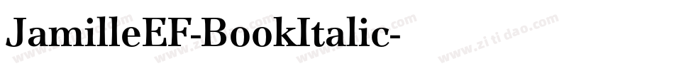 JamilleEF-BookItalic字体转换