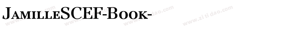 JamilleSCEF-Book字体转换