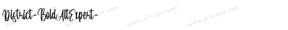 District-BoldAltExpert字体转换