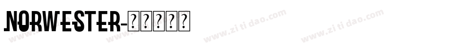 norwester字体转换