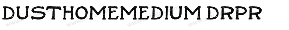 DusthomeMedium-drpR字体转换