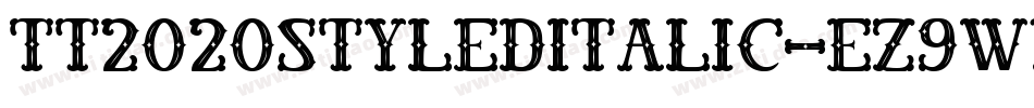 Tt2020StyleDItalic-eZ9wn字体转换