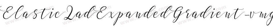 ElasticLadExpandedGradient-vmg89字体转换 ElasticLadExpandedGradient-vmg89字体转换