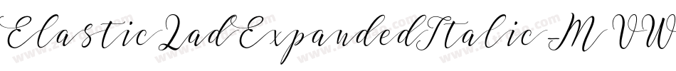 ElasticLadExpandedItalic-MVW6p字体转换