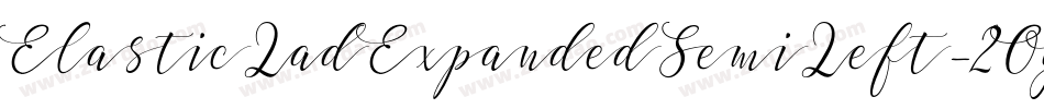 ElasticLadExpandedSemiLeft-2Og2W字体转换