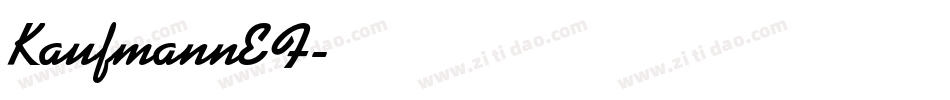 KaufmannEF字体转换