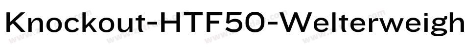 Knockout-HTF50-Welterweight字体转换