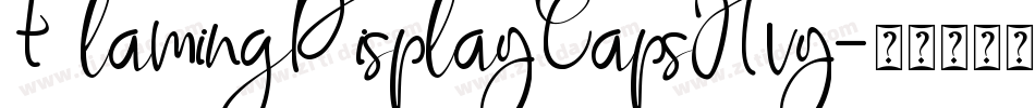 FlamingDisplayCapsHvy字体转换