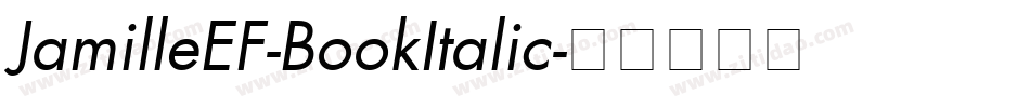 JamilleEF-BookItalic字体转换