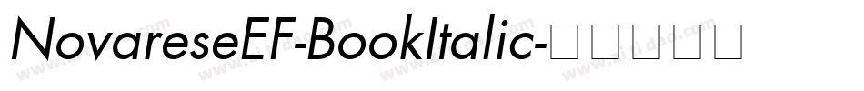 NovareseEF-BookItalic字体转换