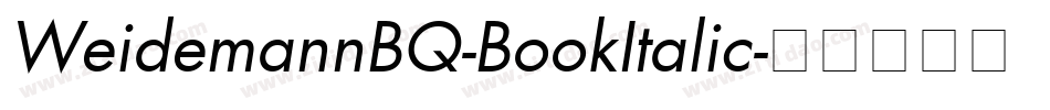 WeidemannBQ-BookItalic字体转换