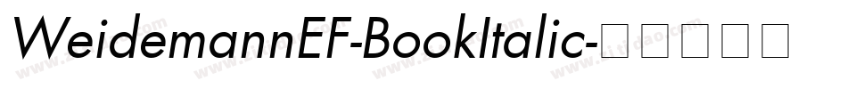 WeidemannEF-BookItalic字体转换