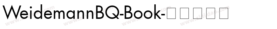 WeidemannBQ-Book字体转换