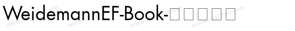 WeidemannEF-Book字体转换