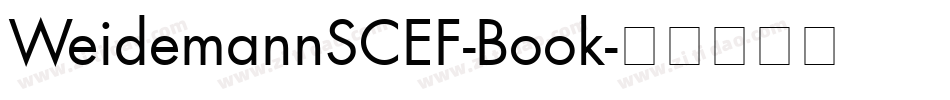 WeidemannSCEF-Book字体转换