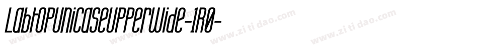 LabtopUnicaseUpperWide-1R0字体转换