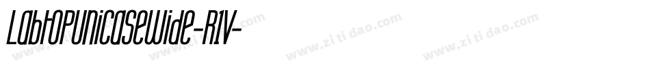 LabtopUnicaseWide-R1V字体转换