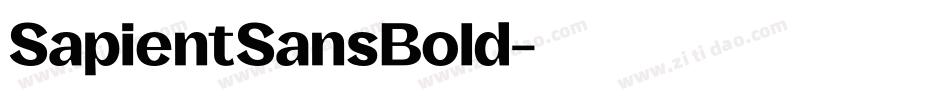 SapientSansBold字体转换