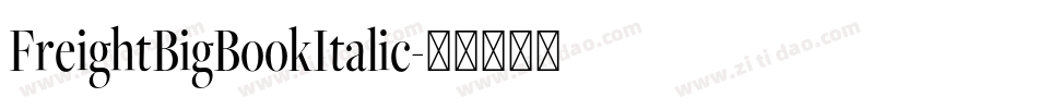 FreightBigBookItalic字体转换