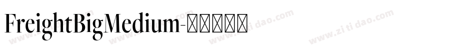 FreightBigMedium字体转换