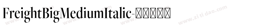FreightBigMediumItalic字体转换