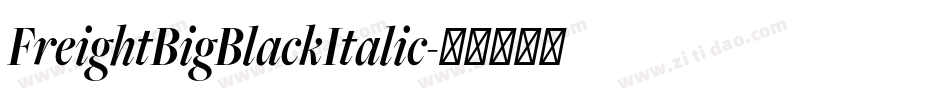 FreightBigBlackItalic字体转换