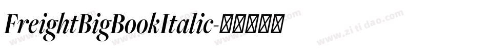 FreightBigBookItalic字体转换